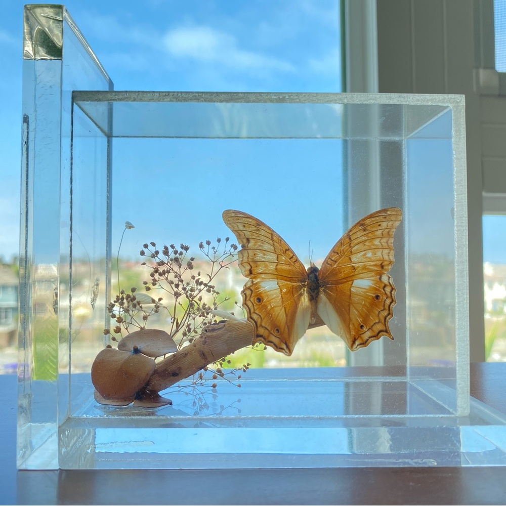 Antique Lucite Butterfly Bookends